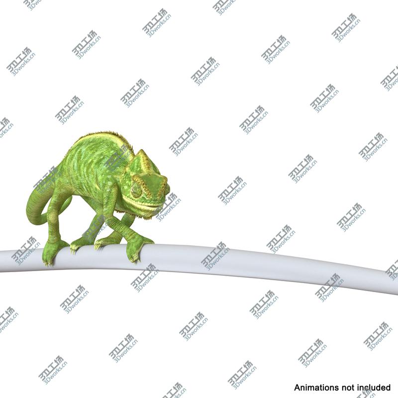 images/goods_img/2021040162/Chameleon Rigged for Maya/3.jpg